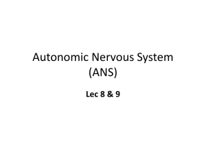 Autonomic Nervous System (ANS)