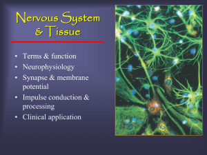 Graded Potential - wquerryeducation