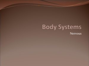 Body Systems - Bishop Ireton High School