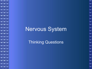 Nervous System - science