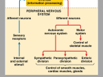 Bio 17 – Nervous & Endocrine Systems