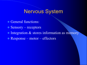 BIO 2310 - MSU Denver