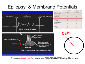 Epilepsy & Membrane Potentials