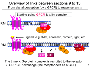 Slide 1