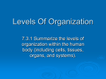 Levels Of Organization