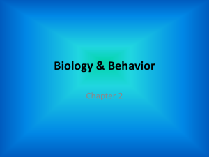 Biology & Behavior