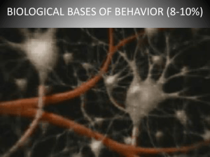 BIOLOGICAL BASES OF BEHAVIOR