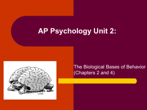 Unit_2_-_Biological_Bases_of_Behavior