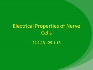 The resting membrane potential - Lectures For UG-5