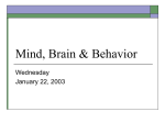 Mind, Brain & Behavior