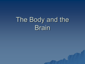 The Body and the Brain