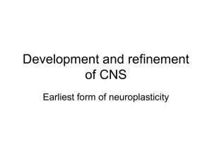 NeuroReview3