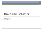 Brain and Behavior