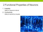 Nerve Impulse Notes