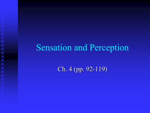 Sensation and Perception