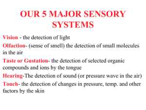 Vision + Desensitization