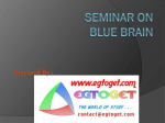 SEMINAR ON BLUE BRAIN