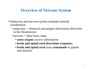 Nervous tissue