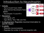 Effects of Exercise Following Lateral Fluid Percussion Brain Injury in