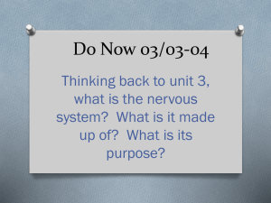 Do Now 03/03-04 - Ed White Anatomy and Physiology