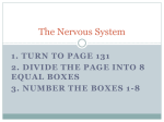 The nervous system