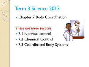 Nervous system - Yr-9-Health