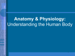 Introduction to Anatomy & Physiology