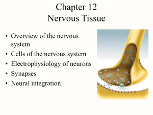 Lecture Outline ()