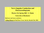 Part 1 (nerve impulses, ppt file)