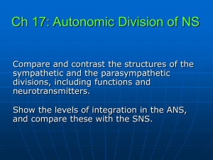 Anat 1: Ch 17 (SS99)