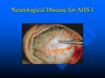 Neurological Diseases ppt