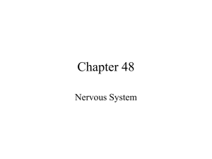 48nervous