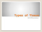 Types of Tissue