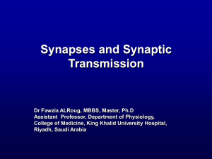 Synapses and Synaptic Transmission