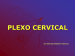 plexo cervical