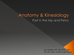 Anatomy & Kinesiology