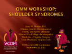 The brachial plexus & Osteopathic concepts in the shoulder