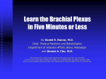 Learn the Brachial Plexus in Five Minutes or Less