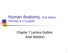 Human Anatomy, First Edition McKinley&O'Loughlin