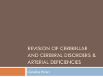 Cervical neurovascular dysfunction