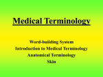 Medical Terminology