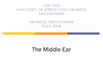 The Middle Ear