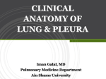 ANATOMY OF LUNG & PLEURA