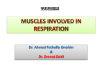 L2-THE MUSCLES INVOLVED IN RESPIRATION 2014