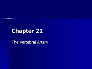 Vertebral artery