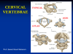 THE LANGUAGE OF ANATOMY CLASSIFICATION OF BONES