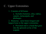 C. Upper Extremities - Crestwood Local Schools