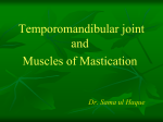 TMJ and Muscles of Mastication