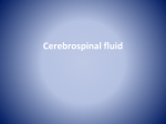 Cerebrospinal fluid