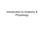 Introduction to Anatomy & Physiology